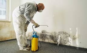 Best Asbestos and Lead Testing During Mold Inspection  in USA